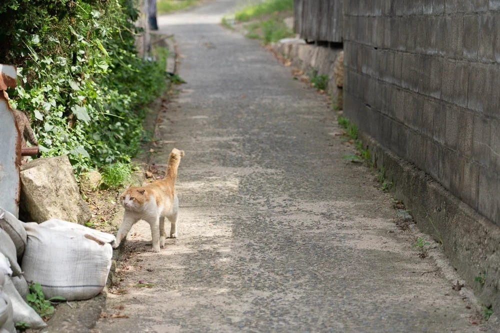 せ・とーちへのアクセス