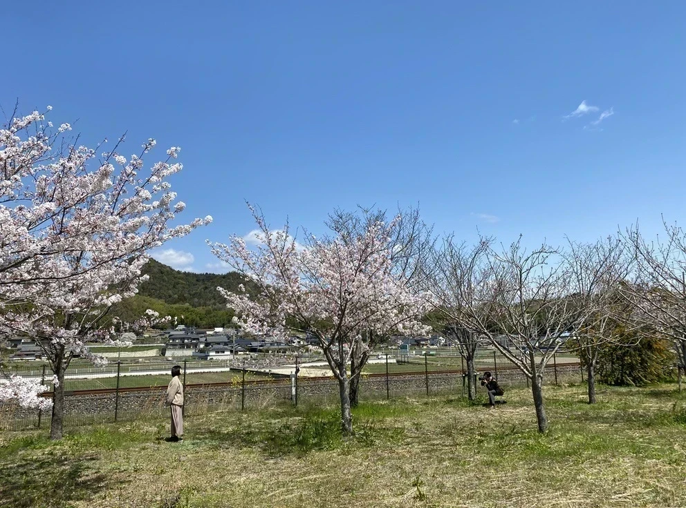 倉敷とことこでの取材の様子