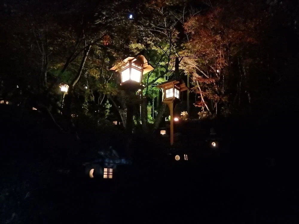 ライトアップされた紅葉