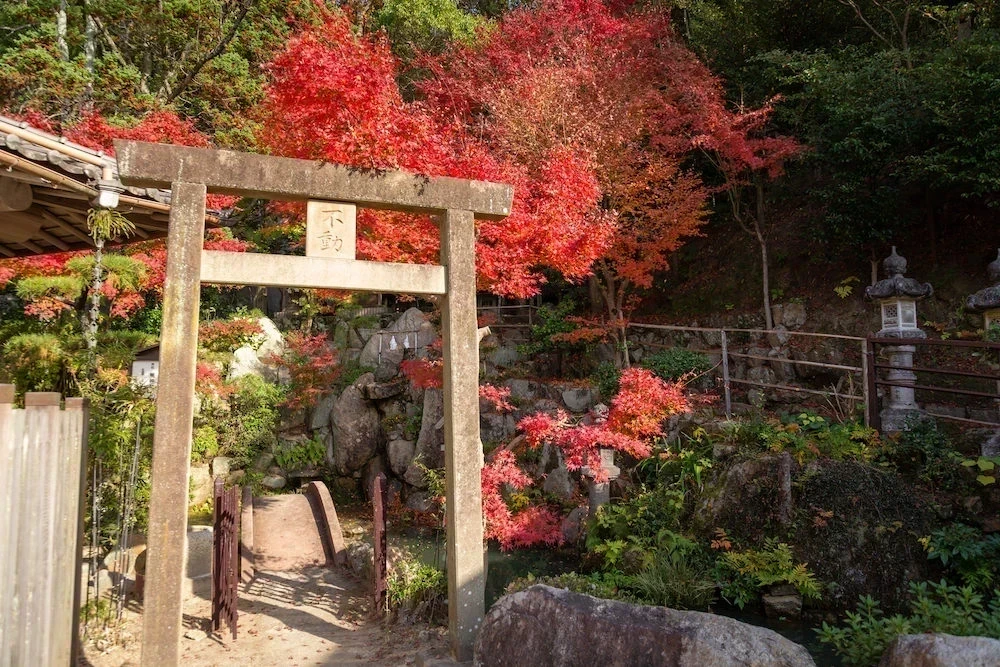 白雲大社ゑびす宮の鳥居と紅葉