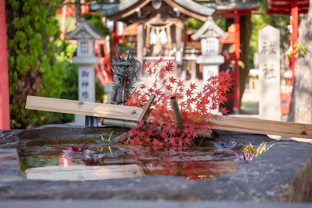 白雲大社手水舎の鶴
