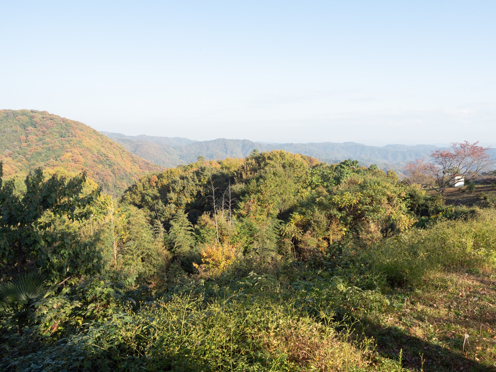 北山カリー工房：眺め