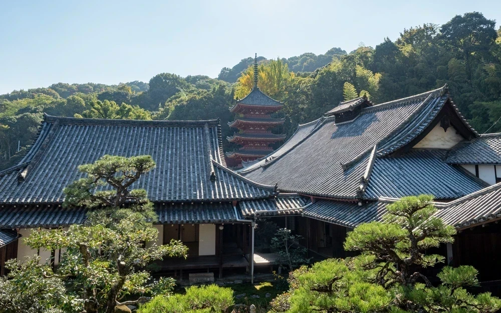 明王院:護摩堂からの眺め