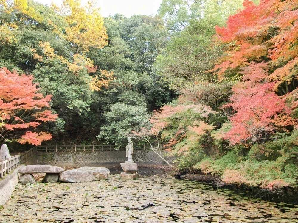 明王院:弁天池の紅葉