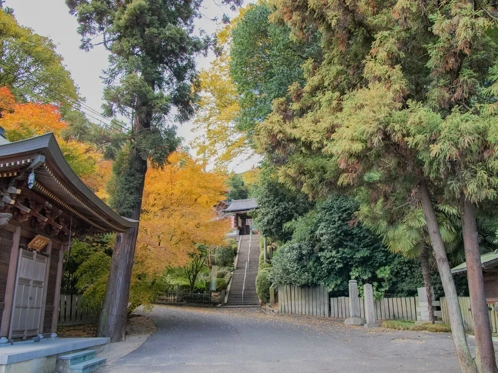明王院:紅葉