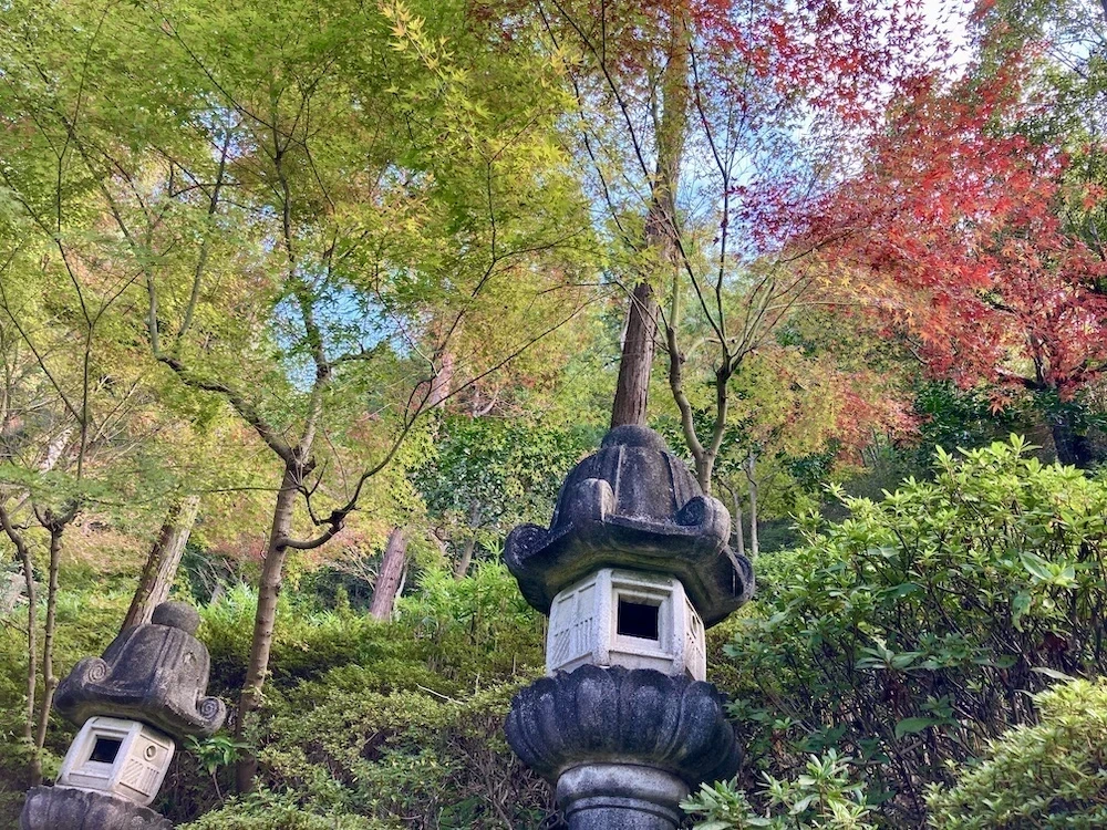 白雲大社参道下り2