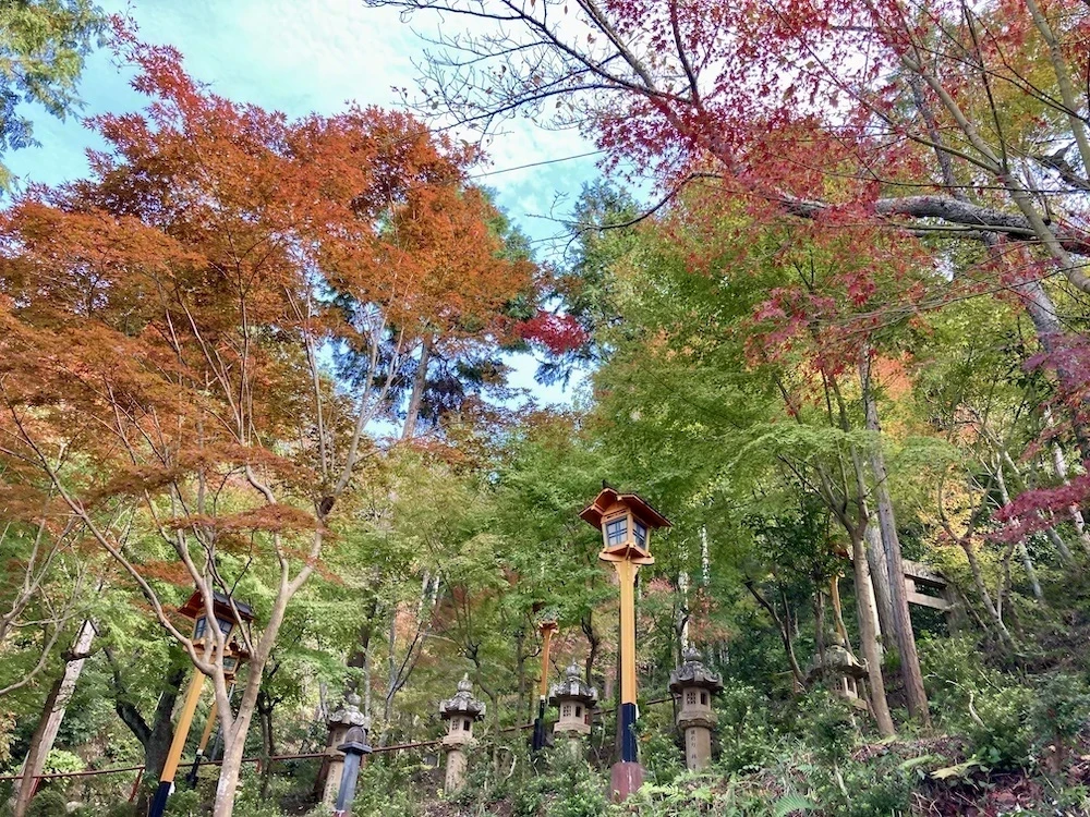 白雲大社参道下り1