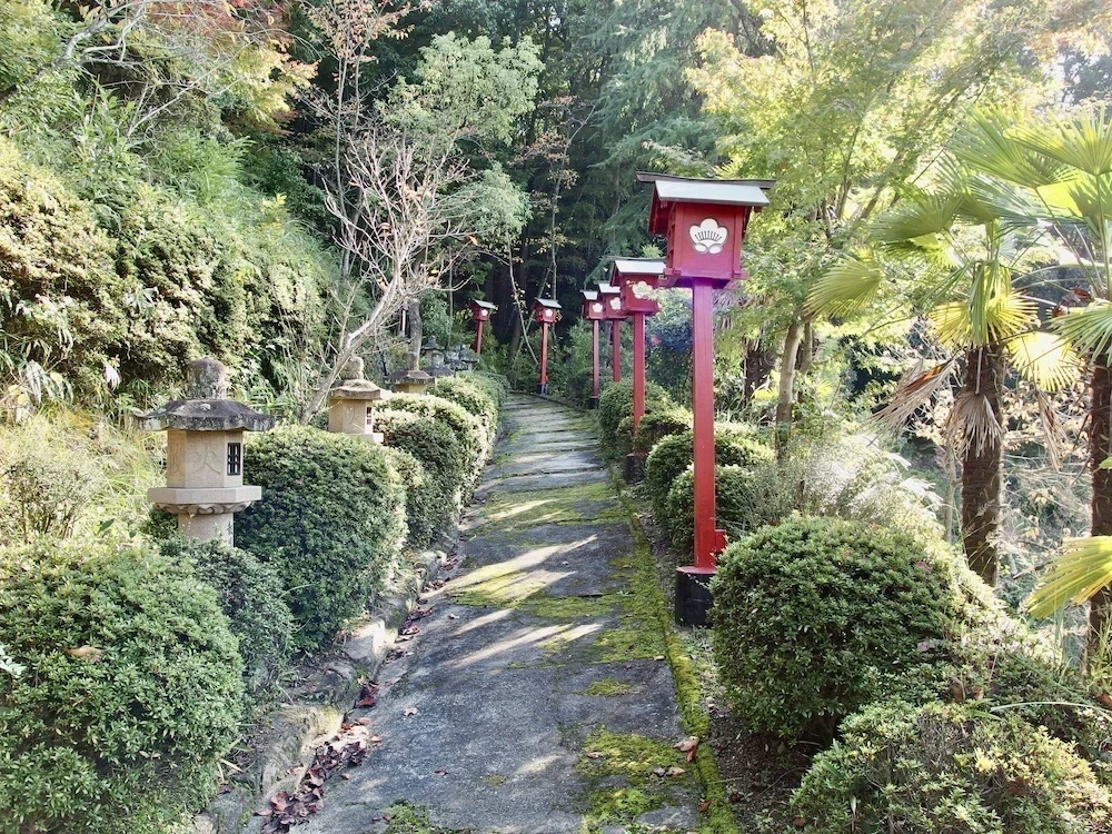 白雲大社参道5