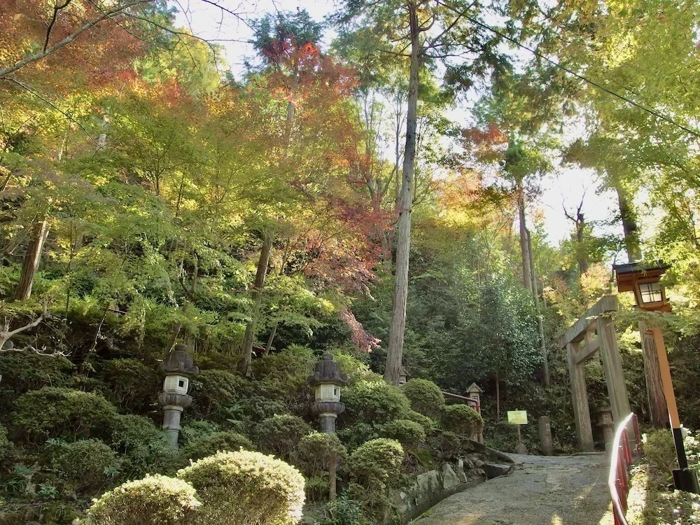 白雲大社参道3