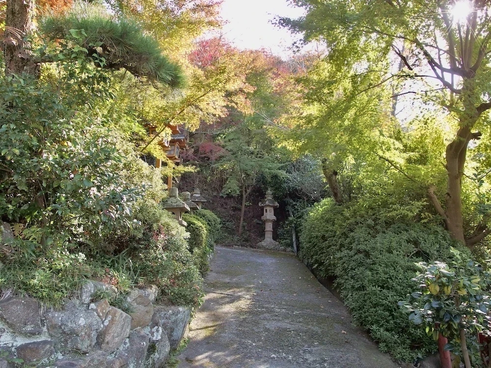 白雲大社参道1
