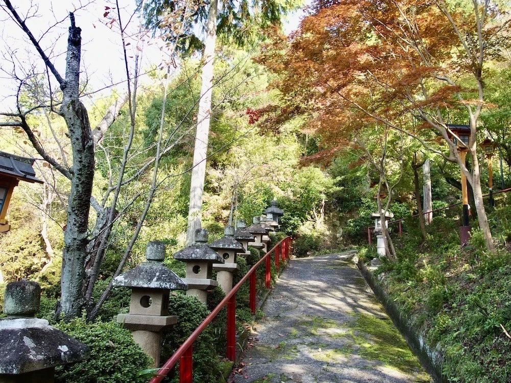 白雲大社参道2