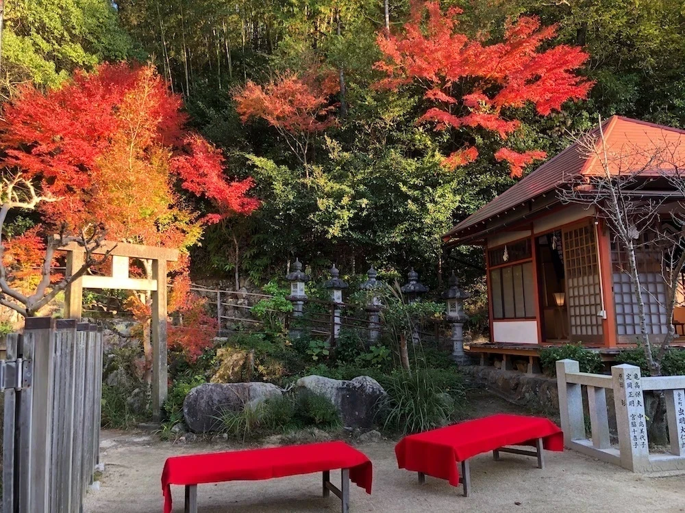 白雲大社の紅葉1