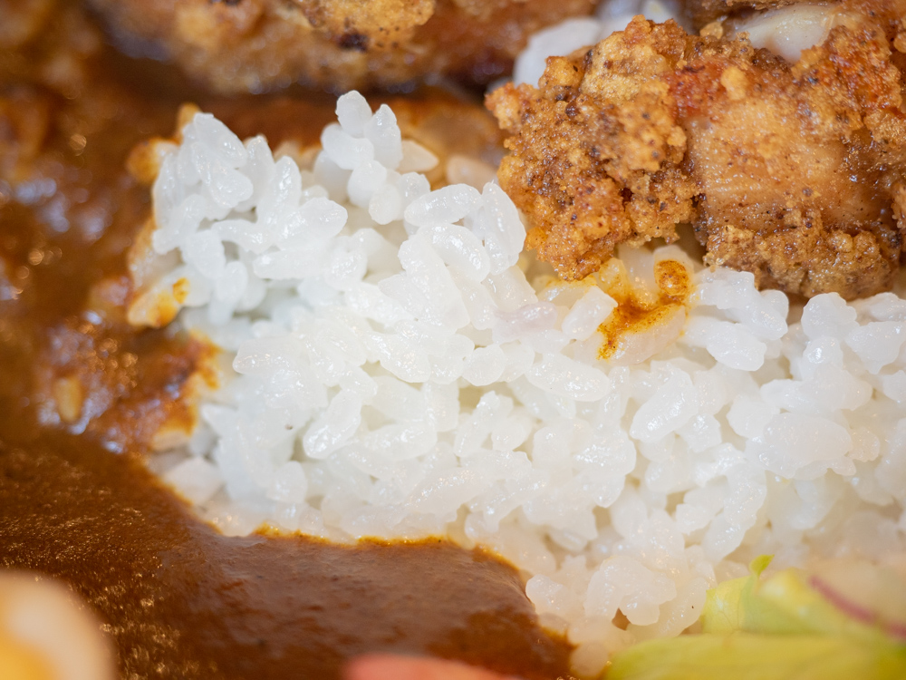 アップルスパイス：フライドチキンカレー