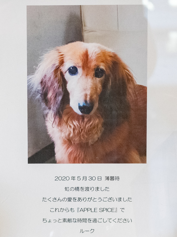 アップルスパイス：看板犬 リーク