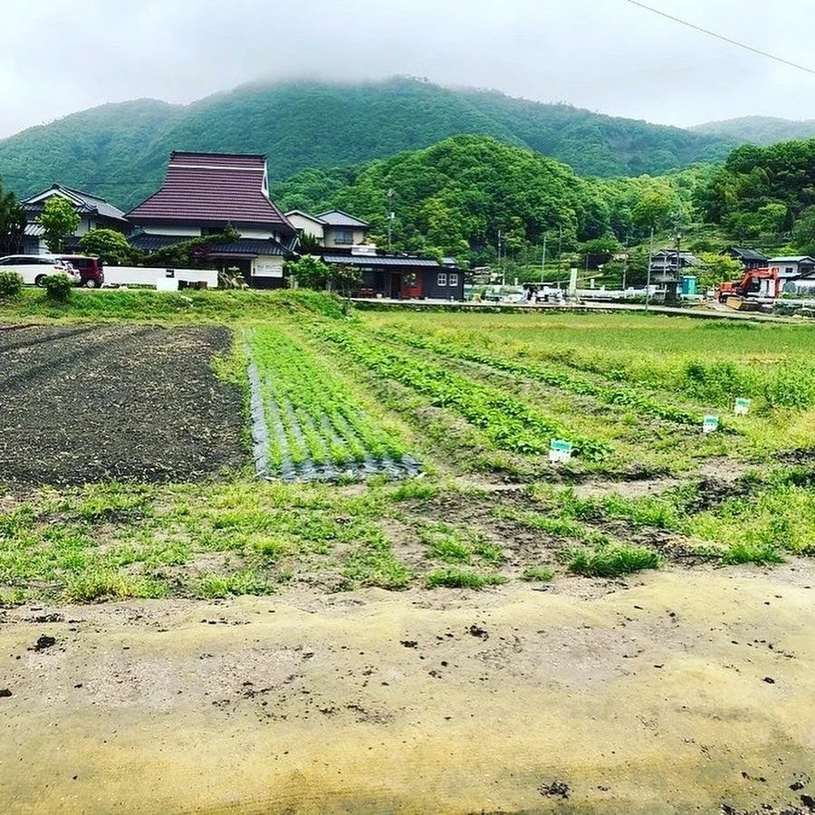 ルオント:H2Oファーム はっとりほたる里