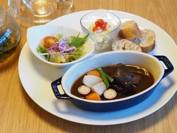 洋風居酒屋Palcuore(パルクオーレ) ～ いつでも美味しい料理とドリンクが楽しめるおしゃれバル。大長レモンとモリンガにも大注目！