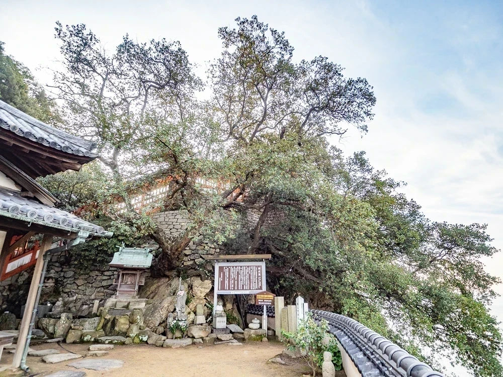 阿伏兎観音:白鴎稲荷神社