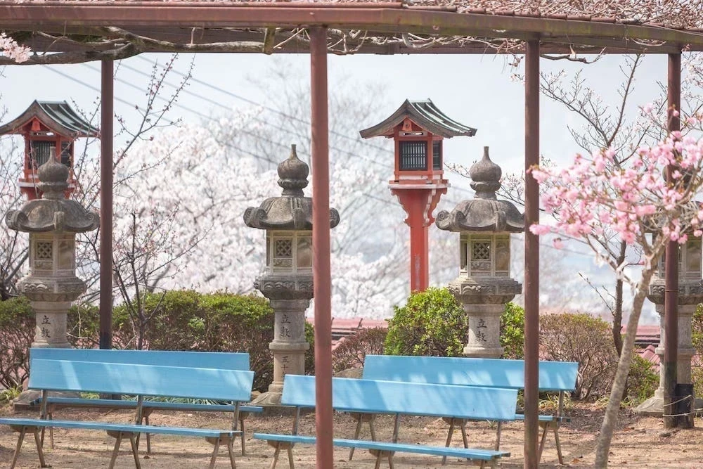 白雲大社の八重桜