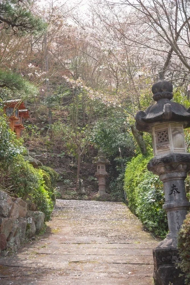 白雲大社の参道の桜