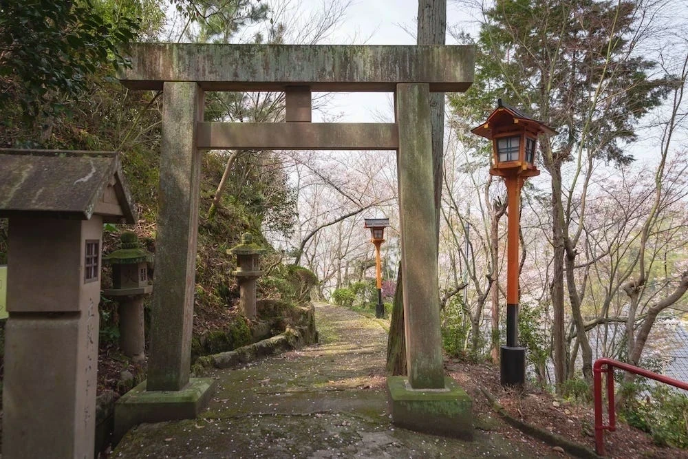 白雲大社の参道の桜