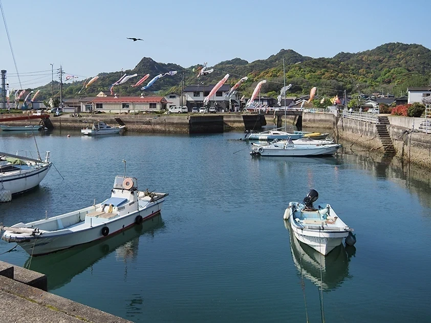 白石島のこいのぼり
