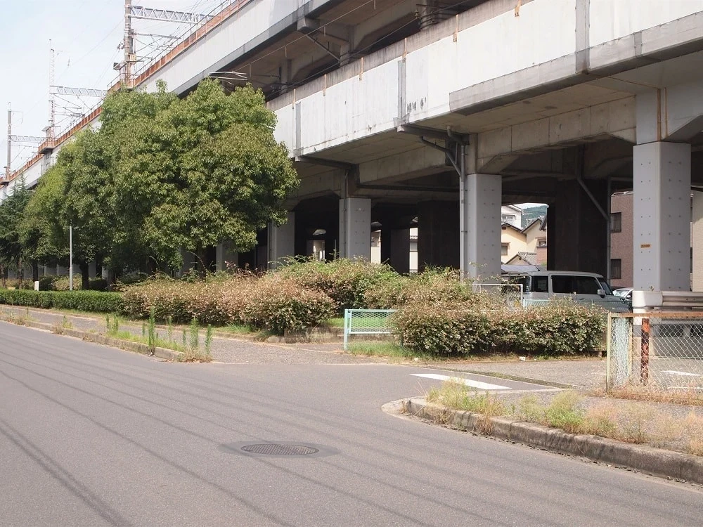 ジンジャーダイヤモンド