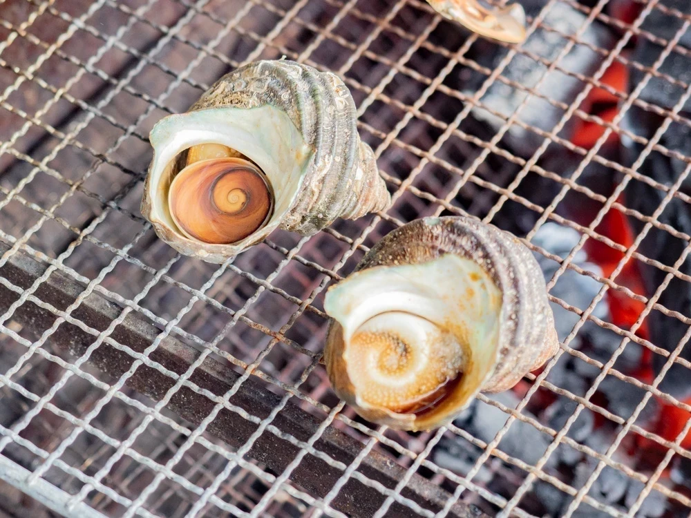 太進館:サザエ