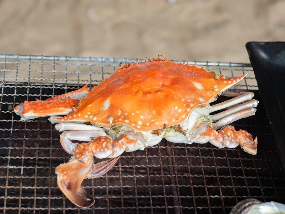 太進館:ワタリガニ