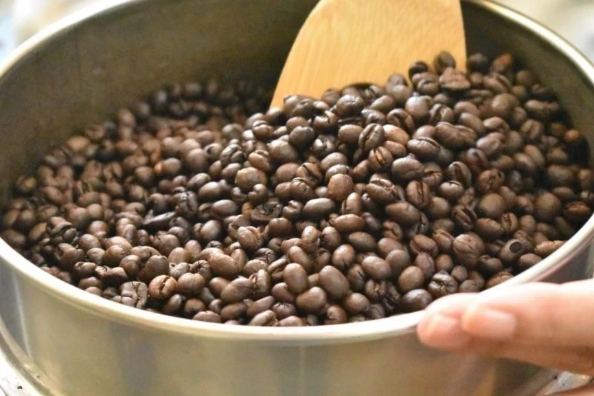 焙煎香房 Segar-Beans(セガールビーンズ)  ～ 焙煎したての新鮮な珈琲に魅せられて