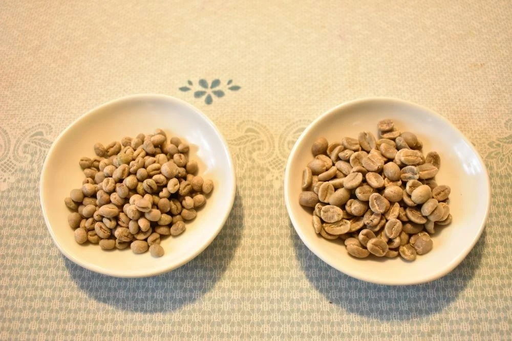 生豆