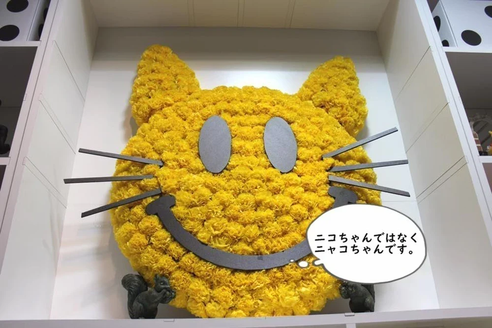 ニャコちゃん