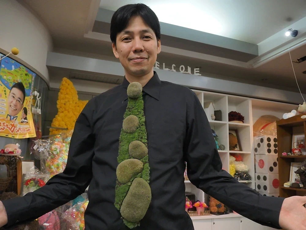 コケタイ