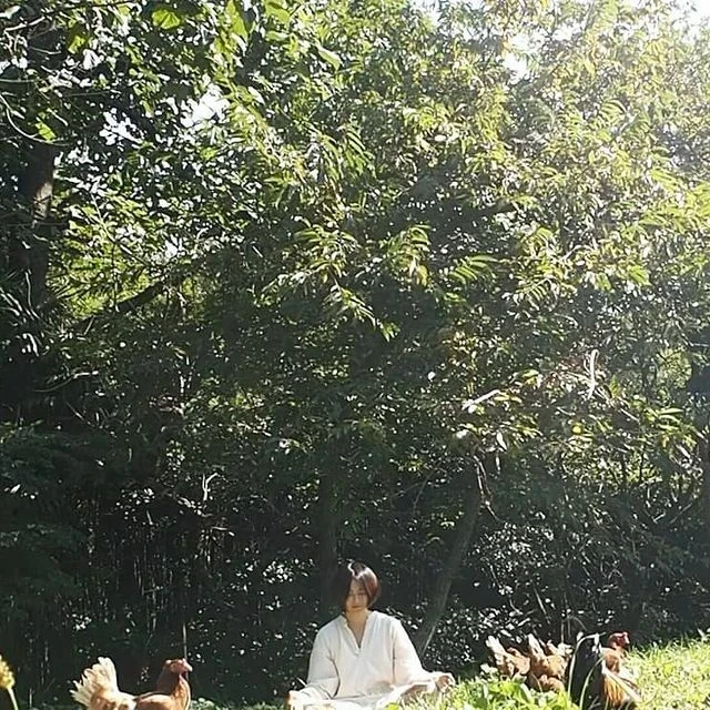 ヨガ