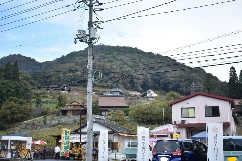 山野峡大田ワイナリー