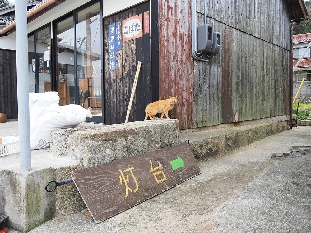 六島灯台までの道