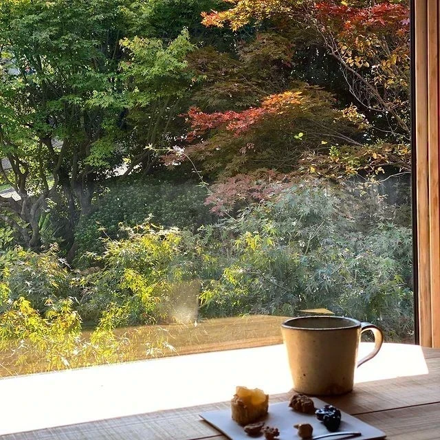 2階からの眺め