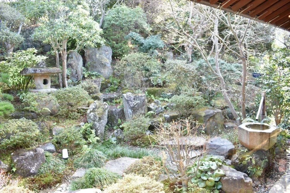 1月の庭
