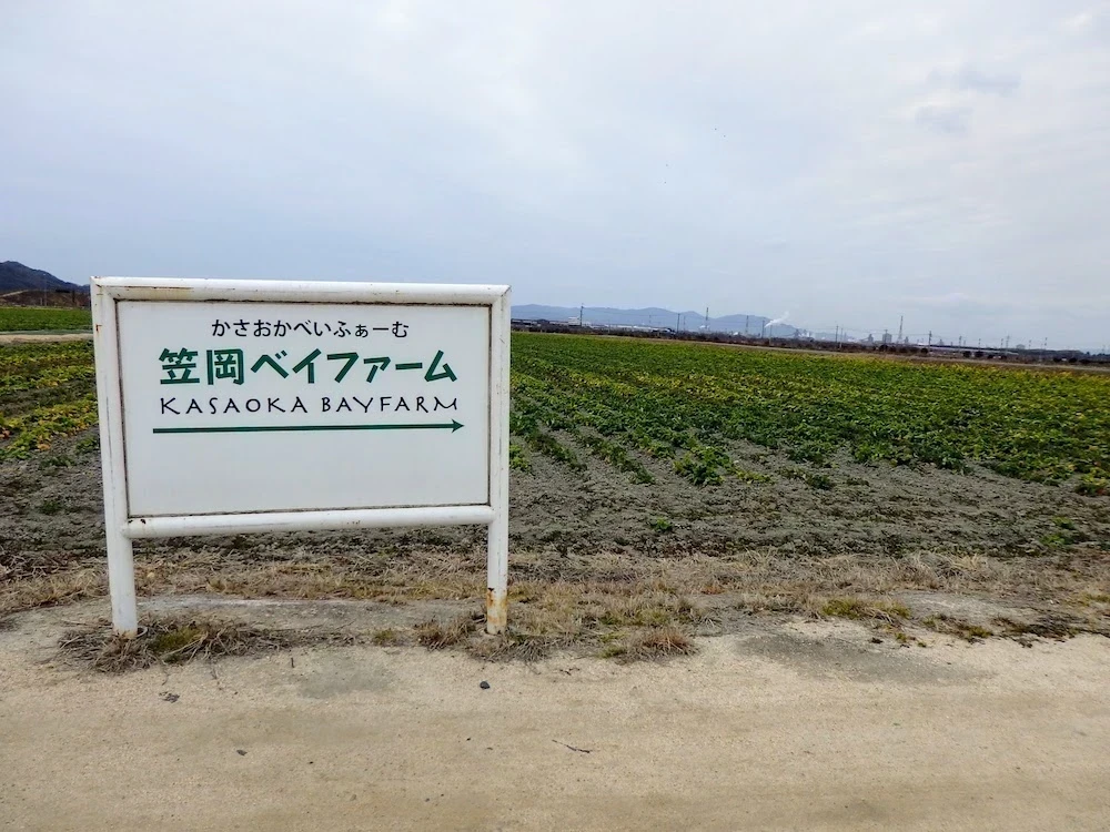 2022年2月8日撮影