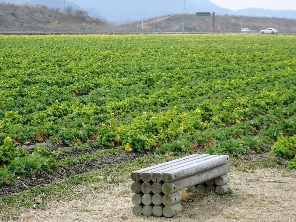 2022年3月4日撮影