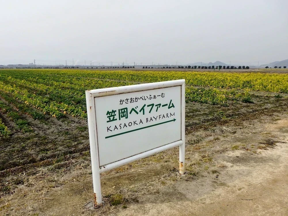 2022年3月4日撮影