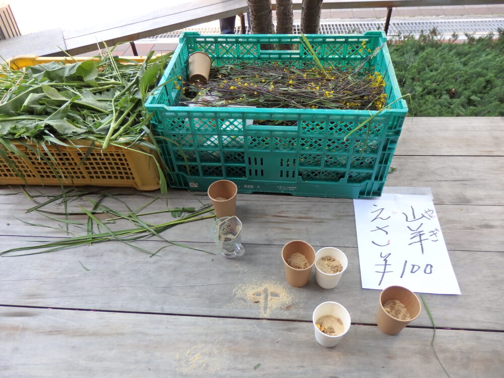 ヤギの餌
