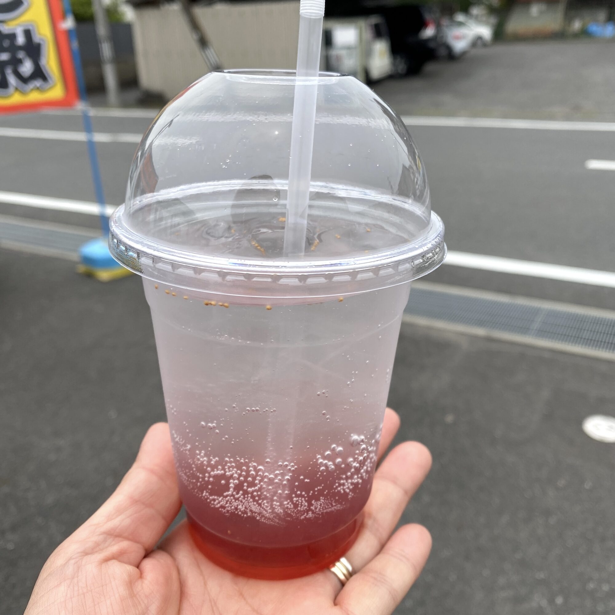 笠岡干拓 BriGarden 黒いちじく しろっぷ