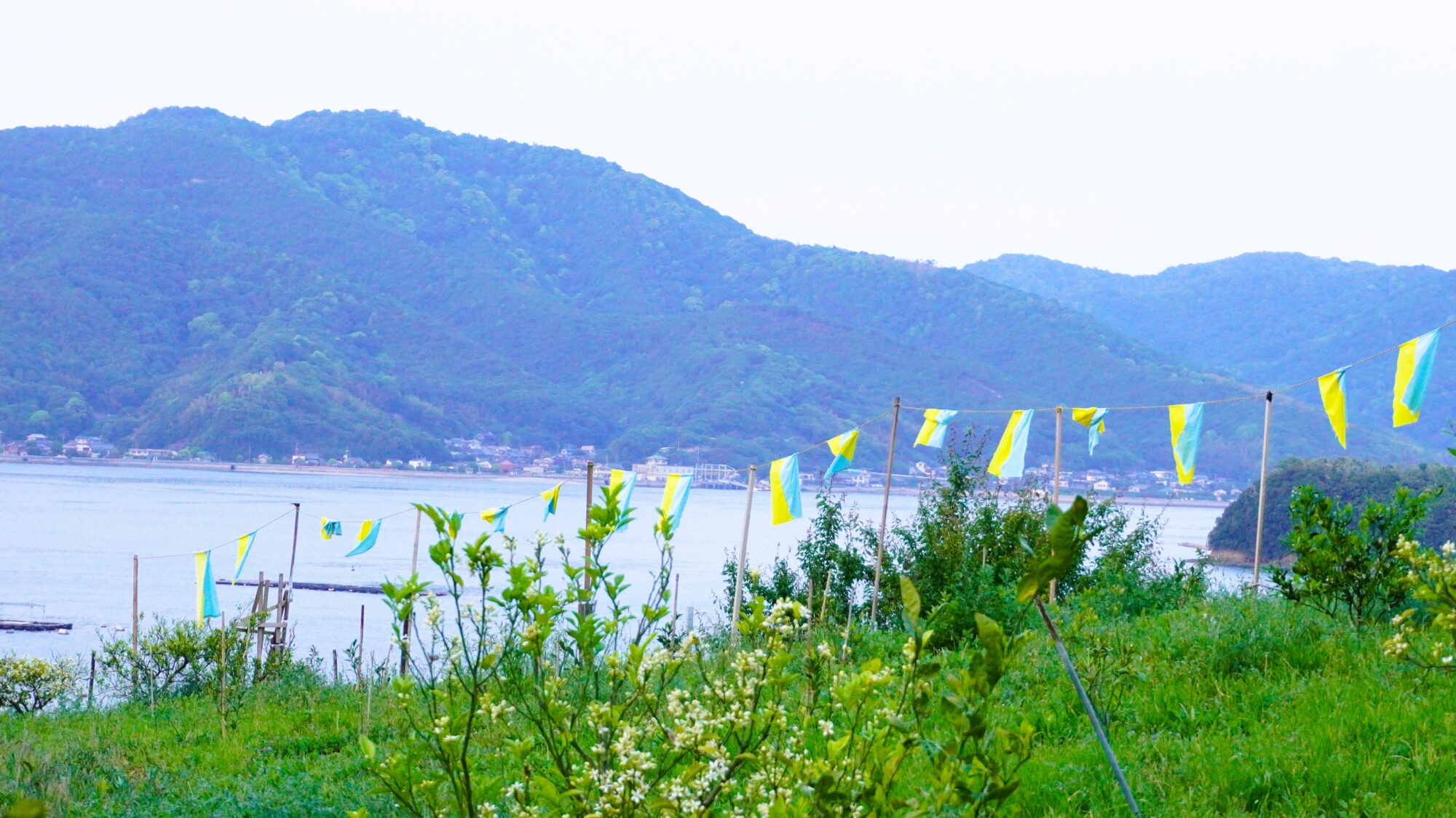 平和の風