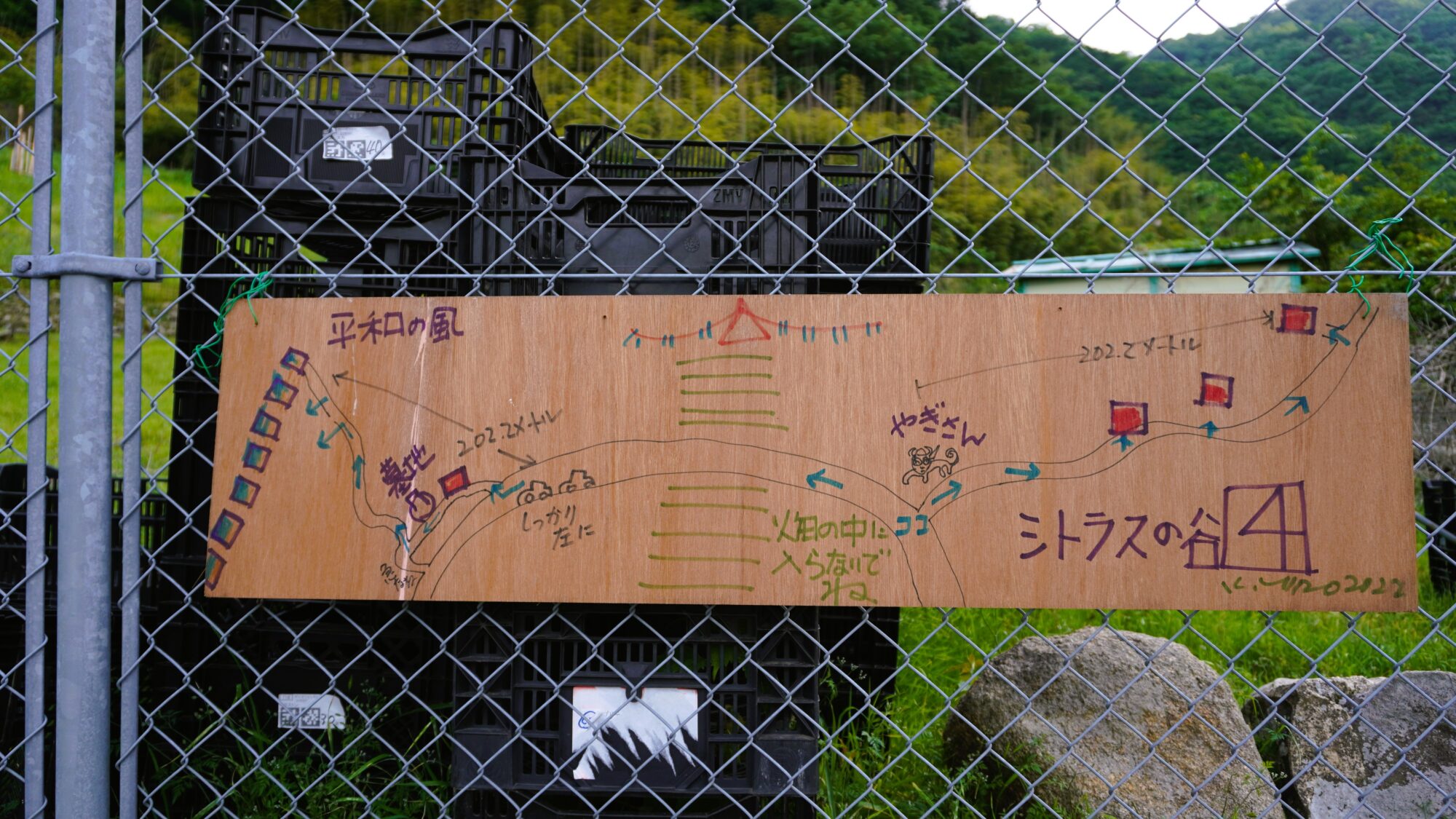 シトラスの谷の図