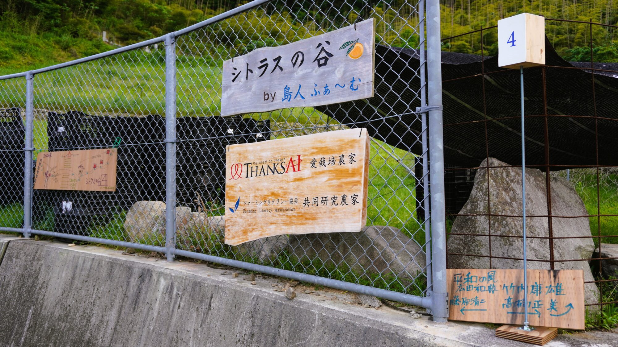 シトラスの谷