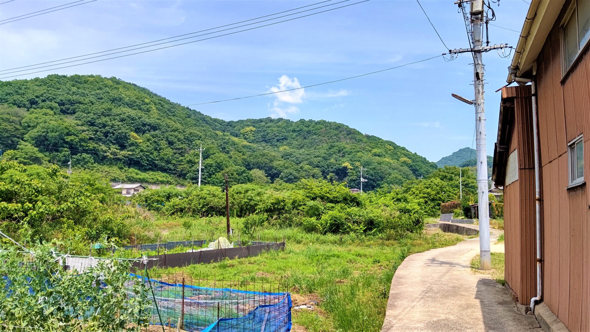 海から山へと、道が続きます。
