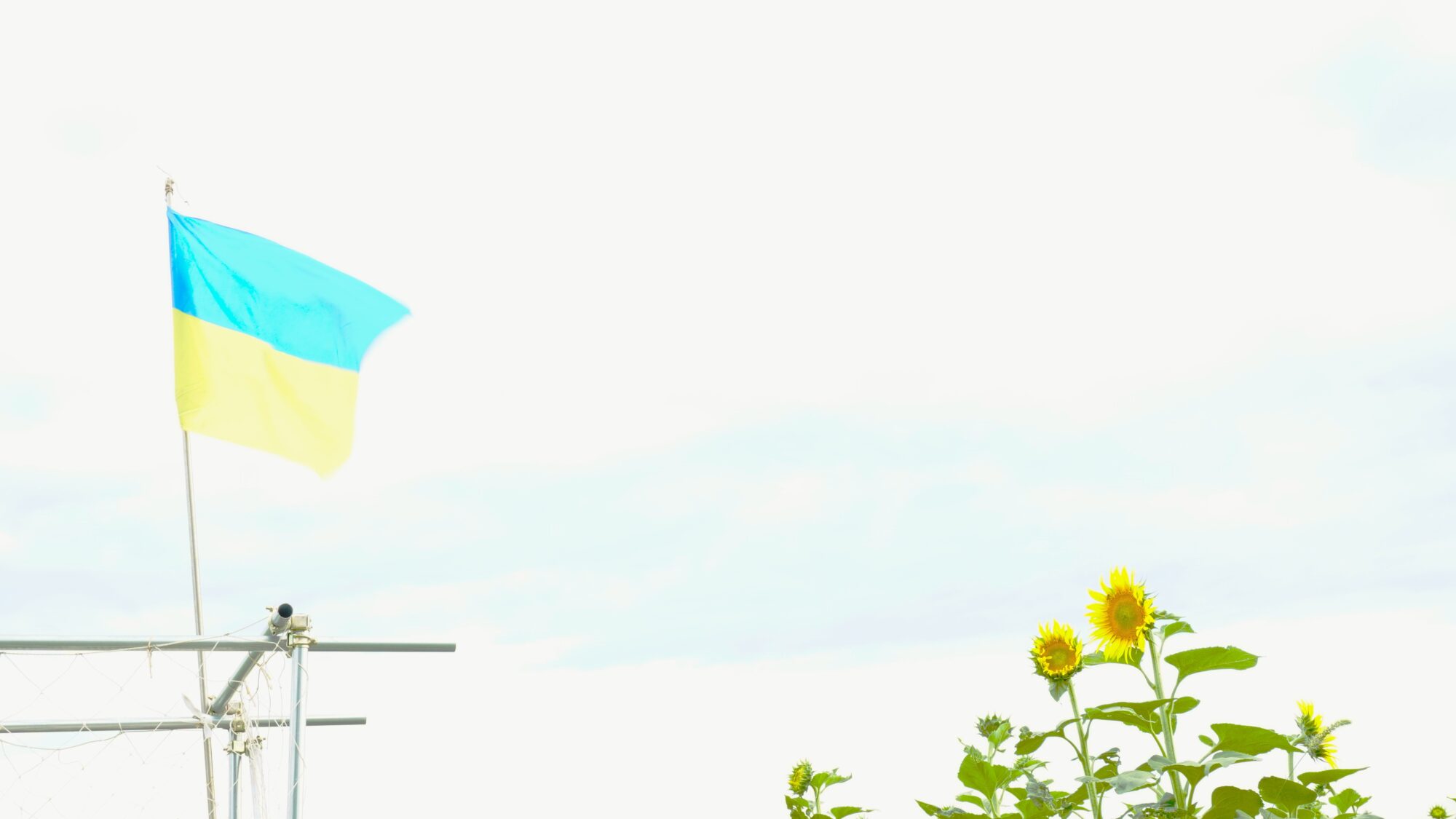展望台 A