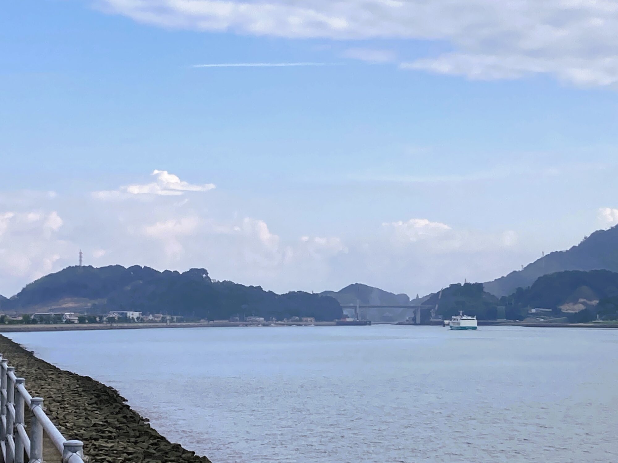海