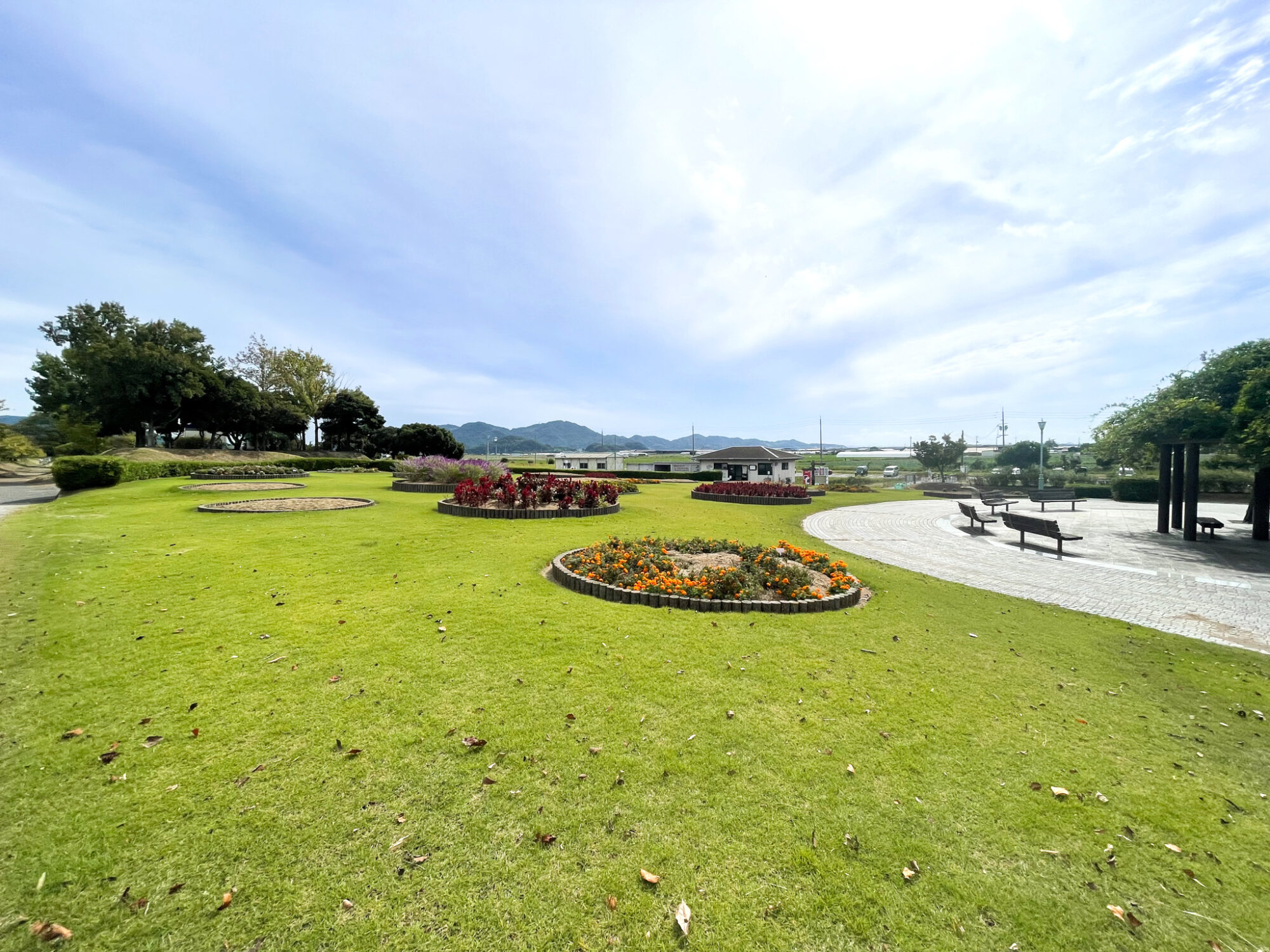 太陽の広場の花壇の全景