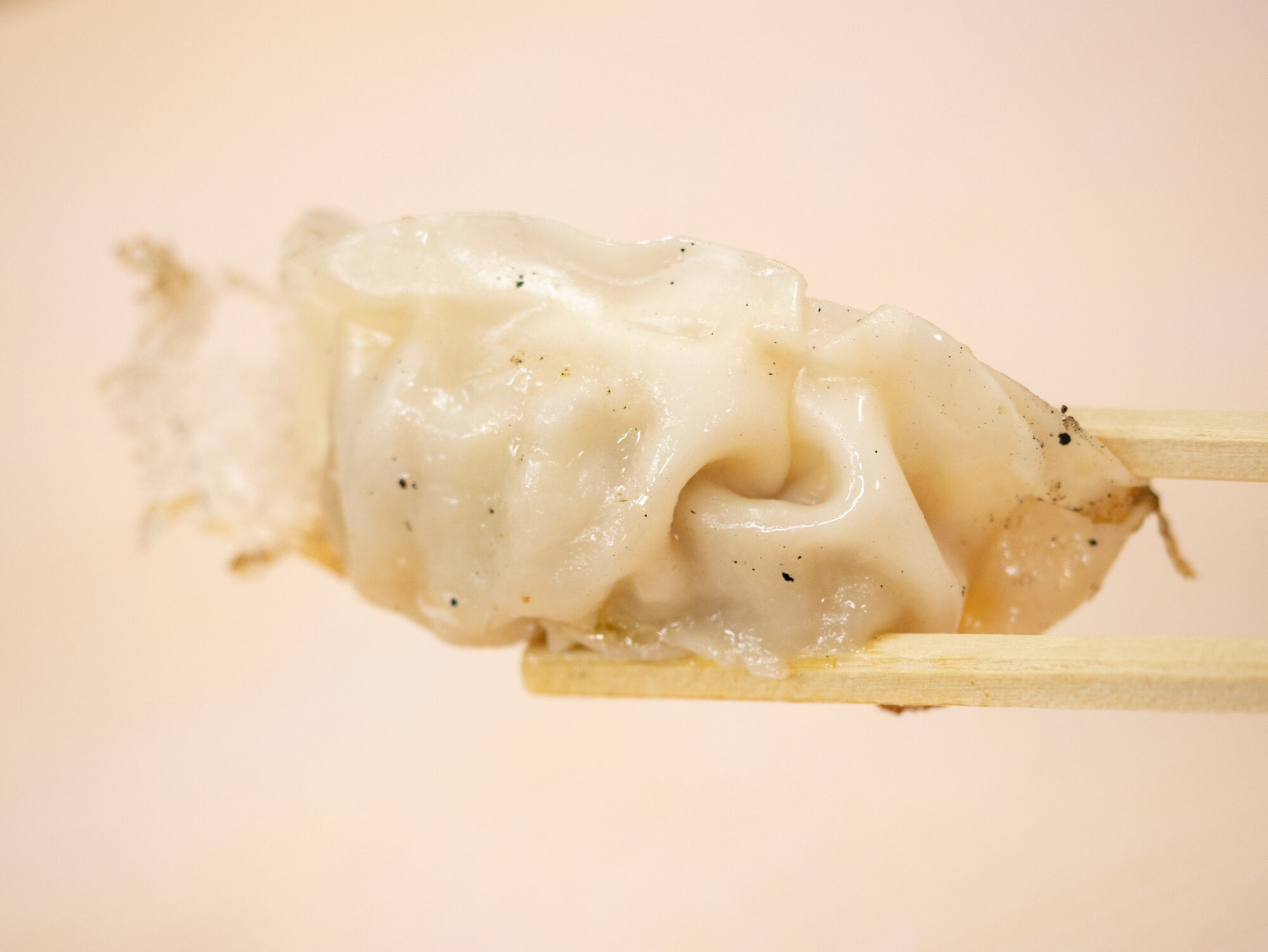 八十吉：焼ギョーザ
